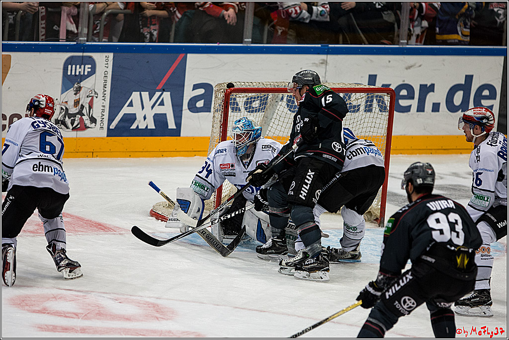 Koelner Haie - Schwenninger Wild Wings, 11.12.2016